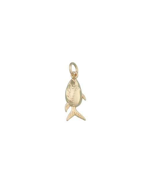 Fishy Fishy Charm