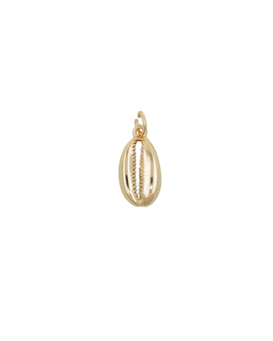Tiny Gold Cowrie Shell