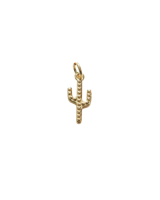 Tiny Cactus Charm