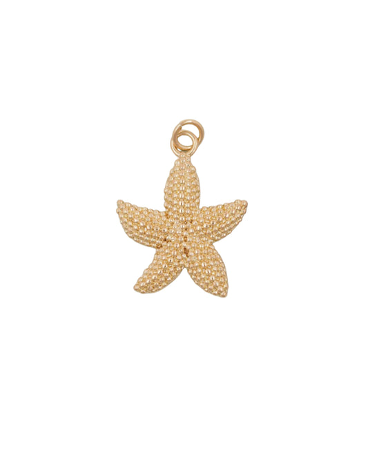 Chunky Starfish Charm