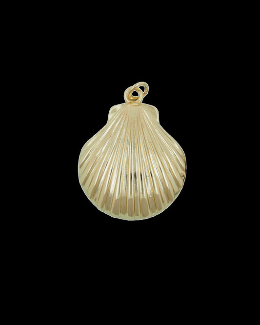 Coastal Shell Charm