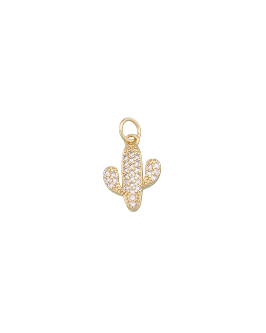Cactus Charm