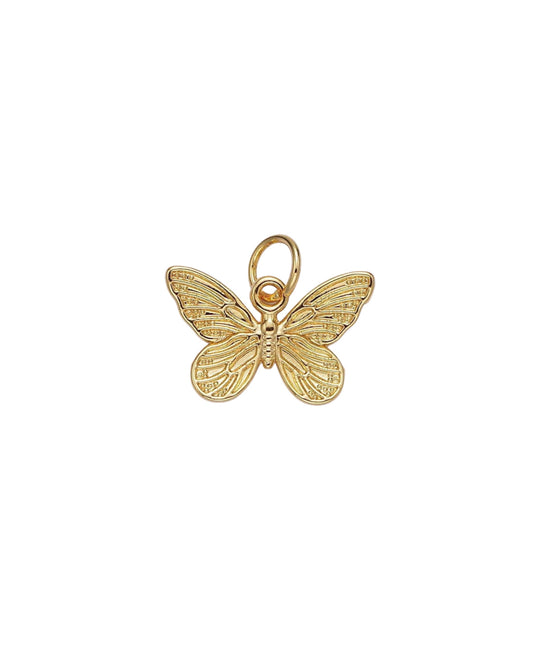 Small Enchanted Butterfly Charm