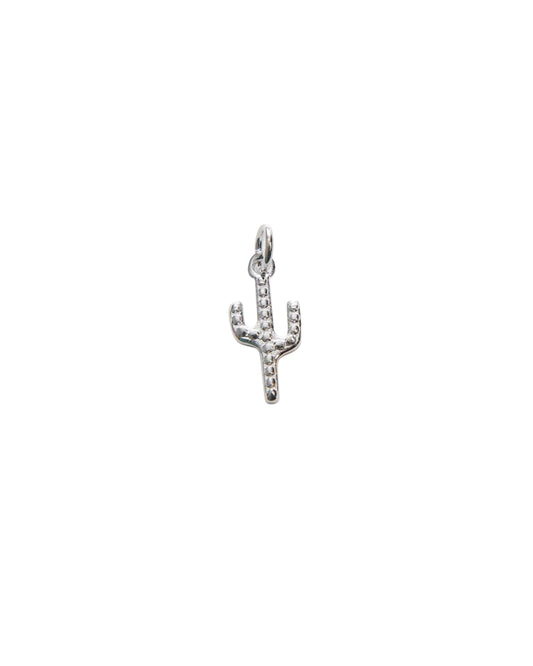 Silver Tiny Cactus Charm