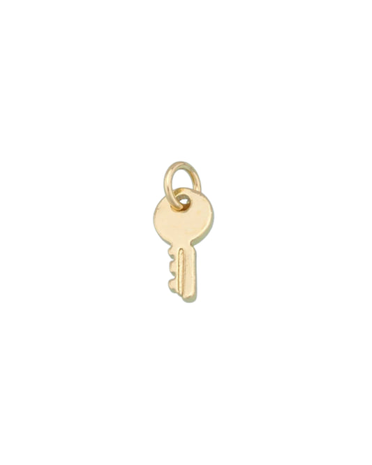 Tiny Key Charm