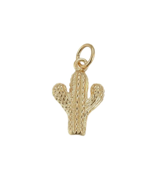 Small Cactus Charm