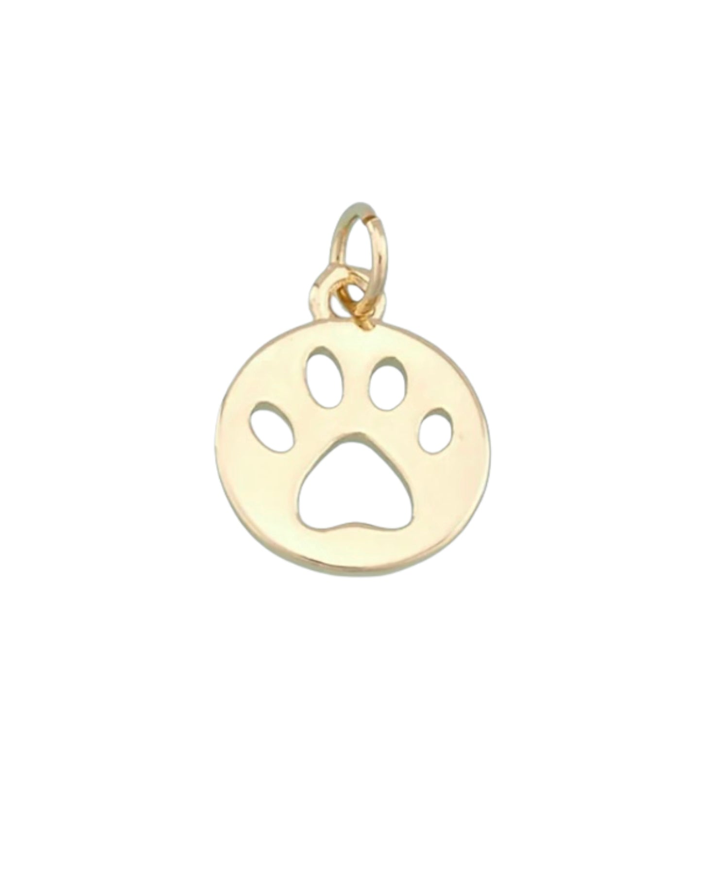 Circle Paw Charm