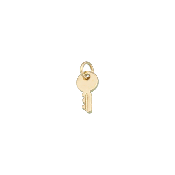 Tiny Key Charm