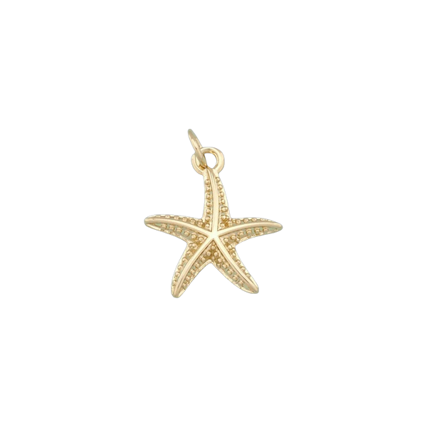 Beachy Starfish Charm