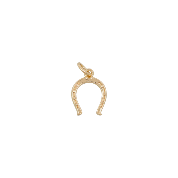 Horseshoe Charm