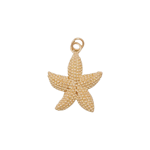 Chunky Starfish Charm