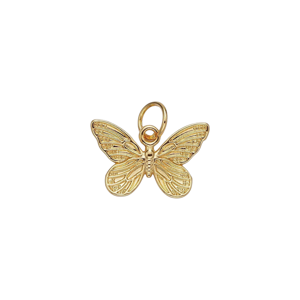 Small Enchanted Butterfly Charm