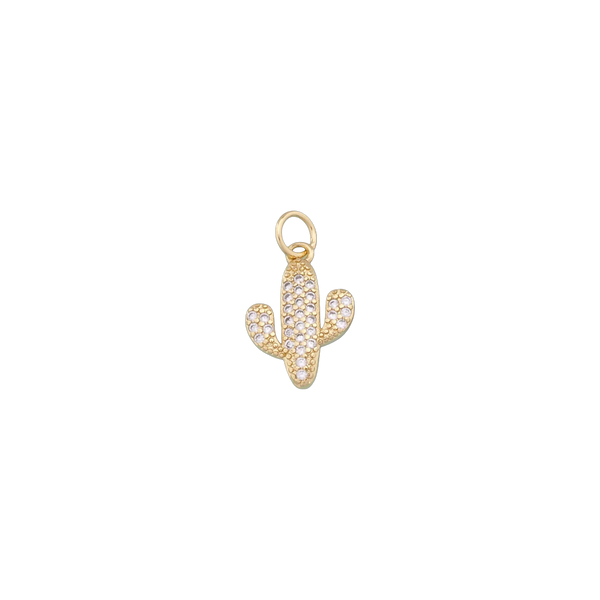 Cactus Charm