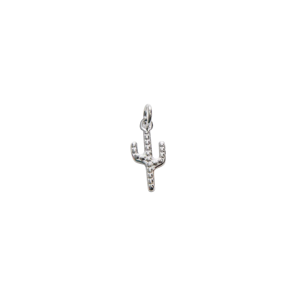Silver Tiny Cactus Charm