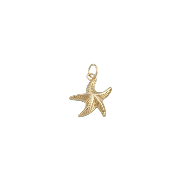 Coastal Starfish Charm