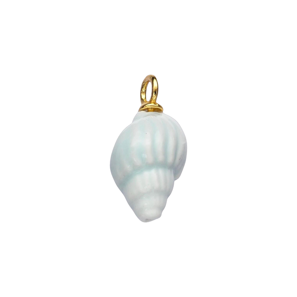 Light Blue Spiral Shell
