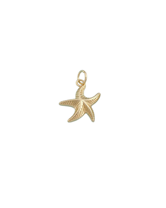 Coastal Starfish Charm