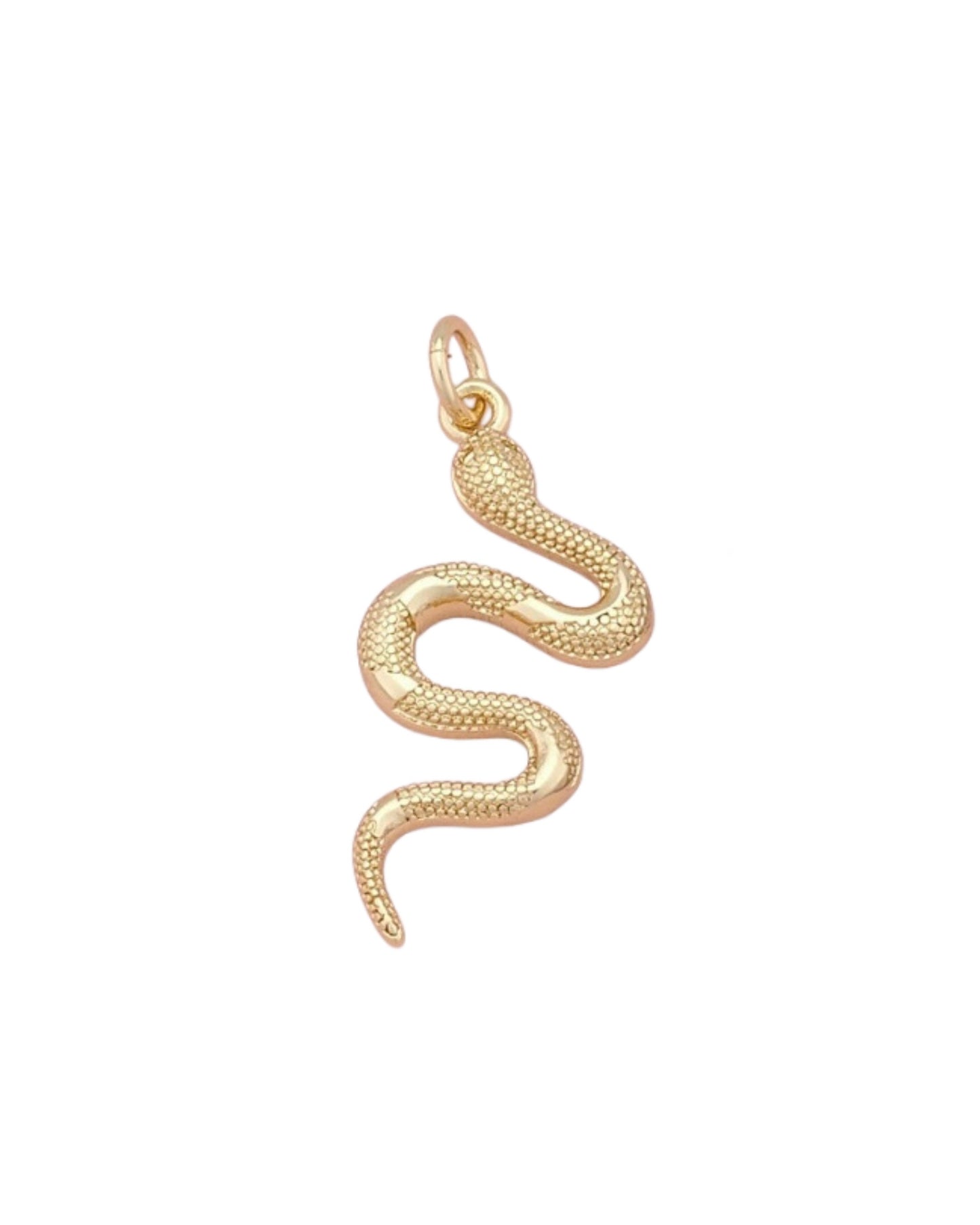 Snake Charm