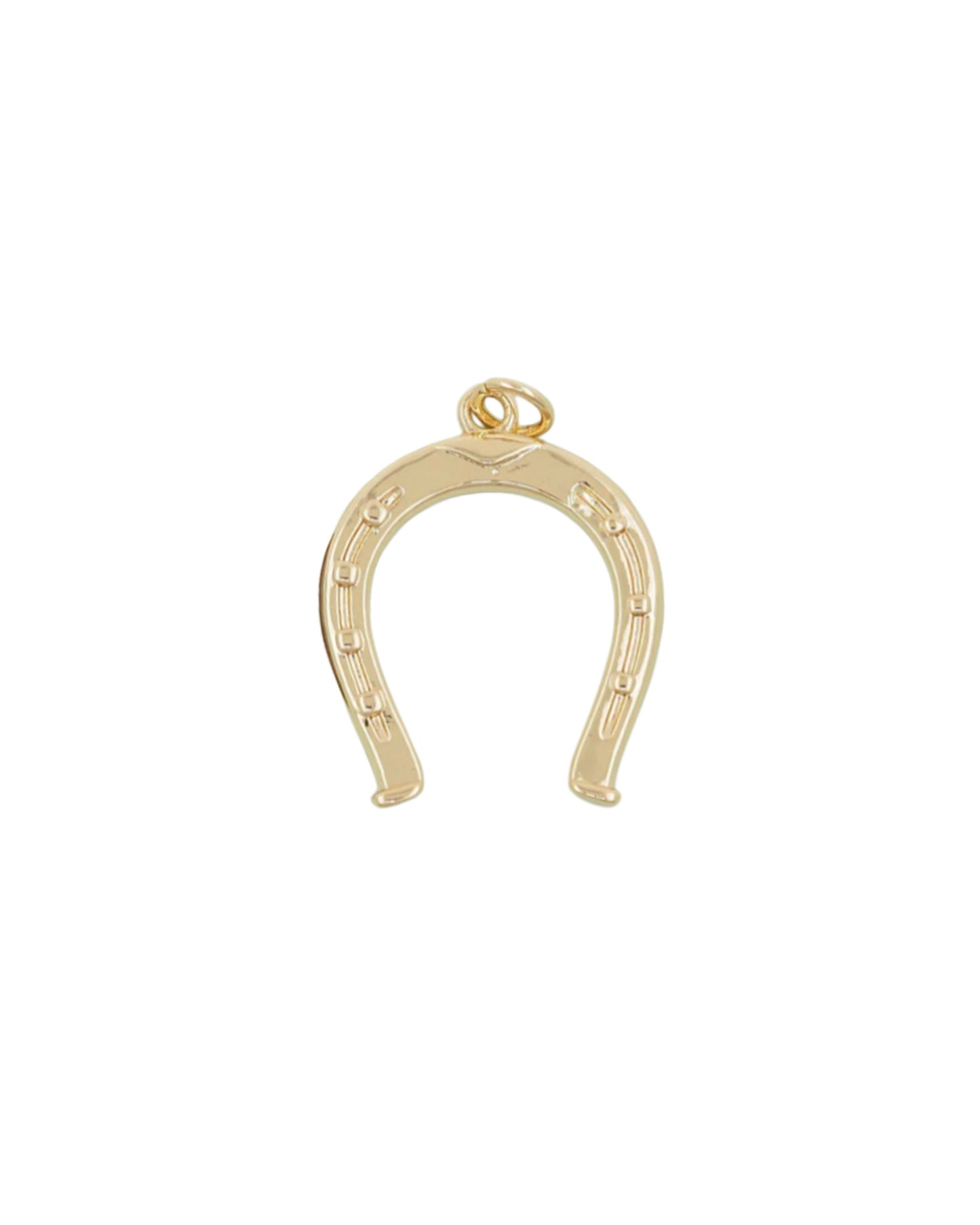 Big Horseshoe Charm
