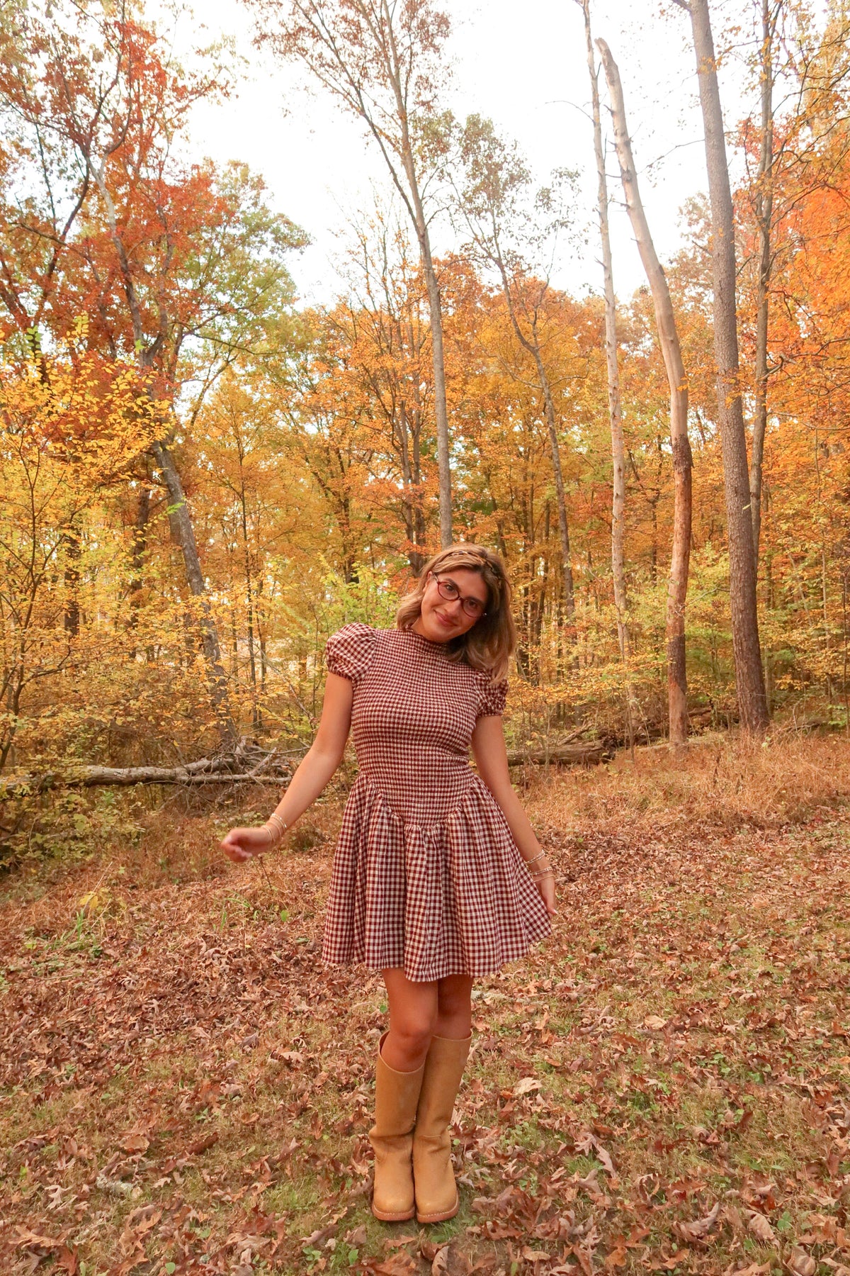 Gingham Darling Dress
