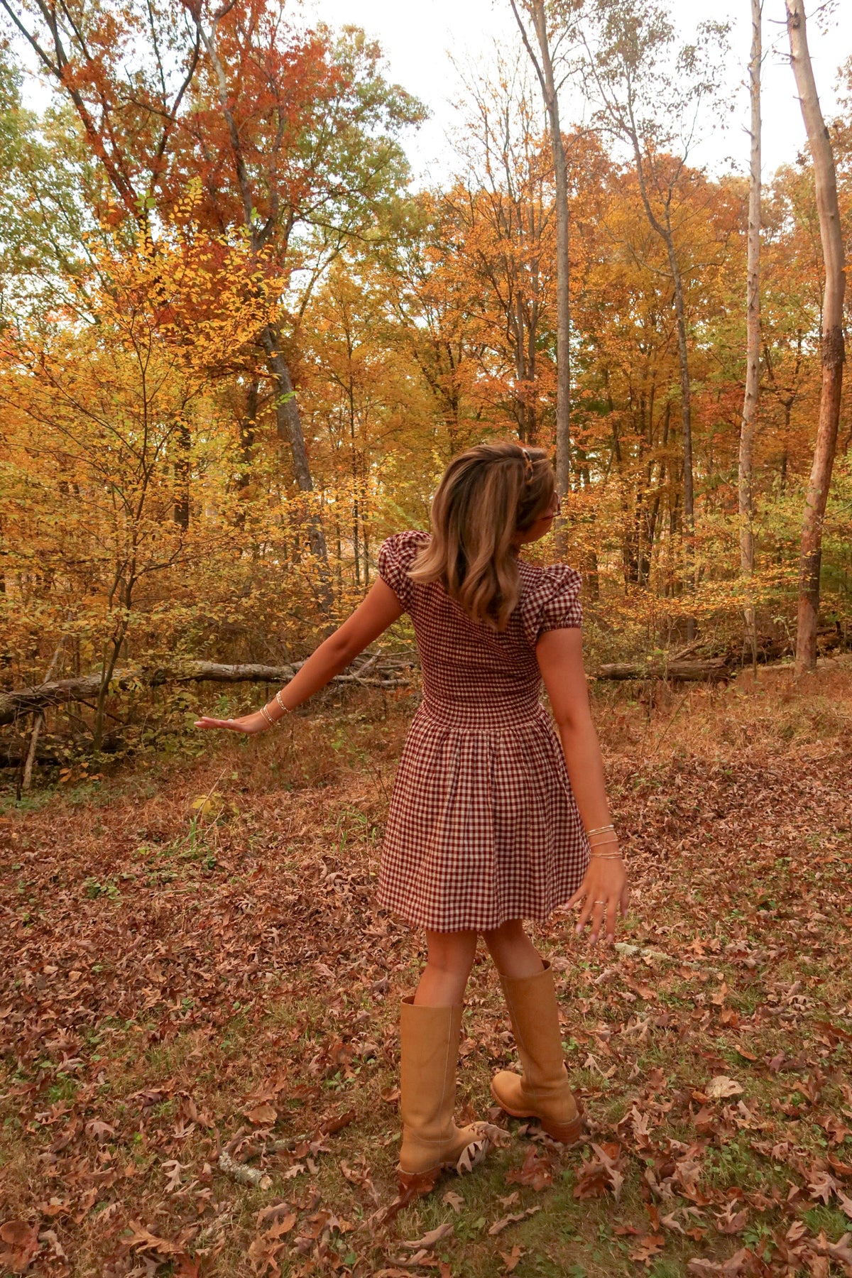 Gingham Darling Dress
